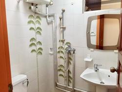 Clementi Park (D21), Condominium #202780262